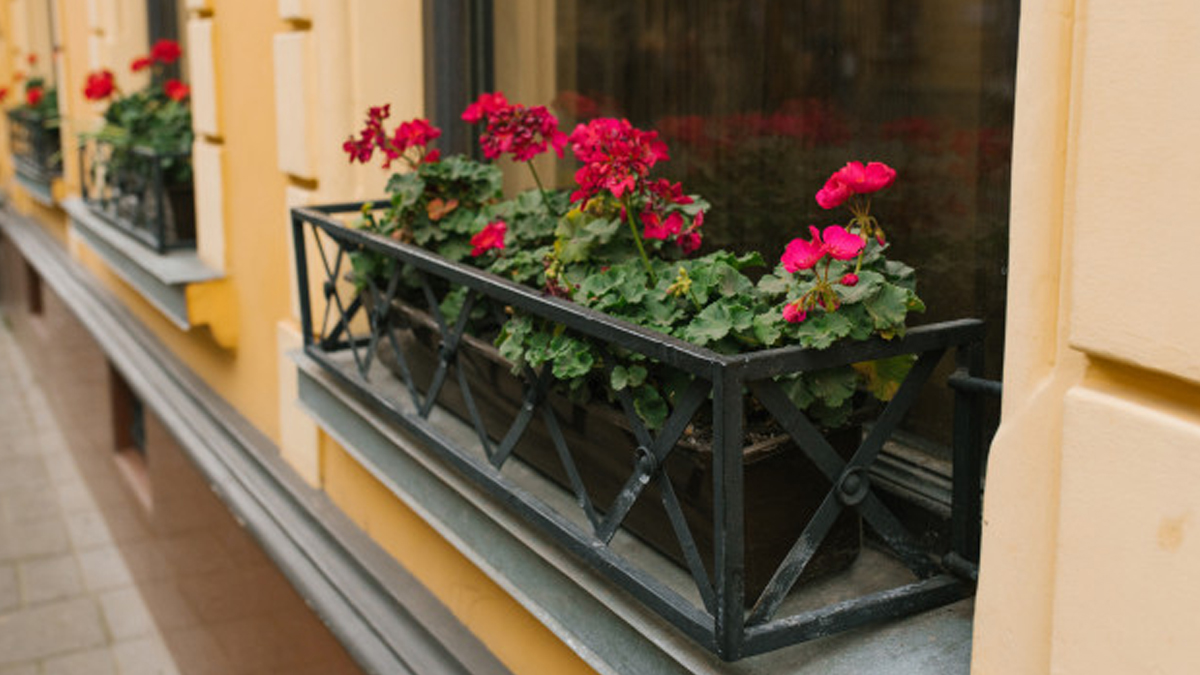 ofrenda en los balcones